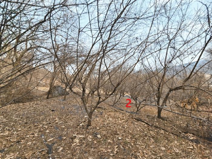 법원경매 2025타경41477 사진8 | 안성시 삼죽면 내강리 157-3 전답 경매