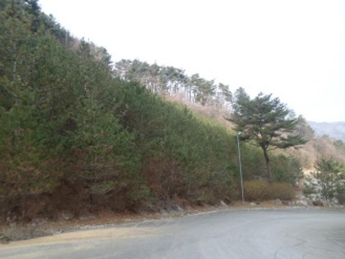 법원경매 2024타경3253 사진9 | 원주시 신림면 송계리 141-8 전 경매