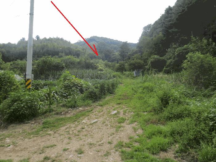 법원경매 2025타경50808 사진2 | 춘천시 동산면 조양리 86 전 경매