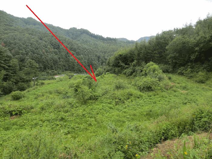 법원경매 2025타경50808 사진3 | 춘천시 동산면 조양리 86 전 경매