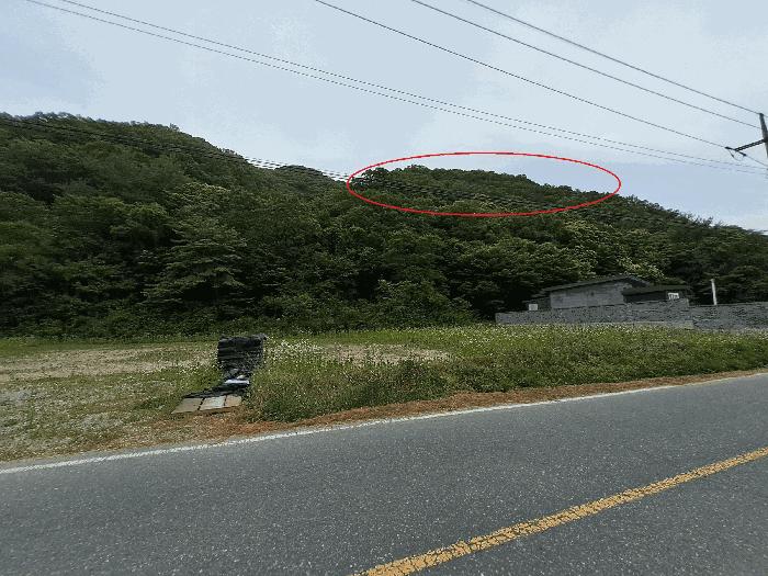 2025타경31306 법원경매 사진5 | 전북 완주군 임야 경매