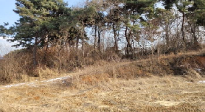 법원경매 2025타경20459 사진2 | 익산시 망성면 어량리 339-13 임야 경매