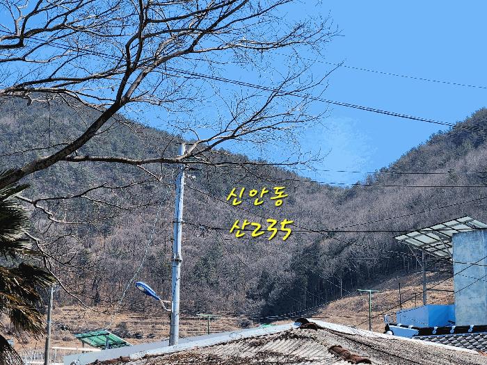 2025타경30604 법원경매 사진2 | 경남 사천시 임야 경매