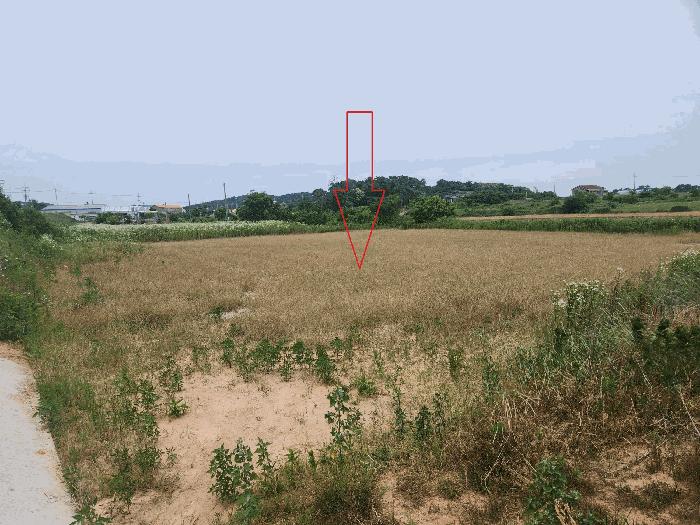 2025타경30280 법원경매 사진3 | 전북 부안군 전 경매