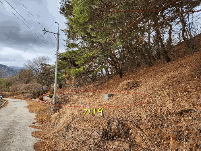 2025타경505 법원경매 사진4 | 경남 산청군 임야 경매