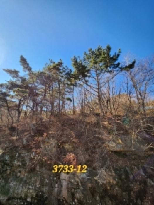 법원경매 2022타경3733 사진31 | 부산 기장군 일광읍 원리 656 주택건물 경매