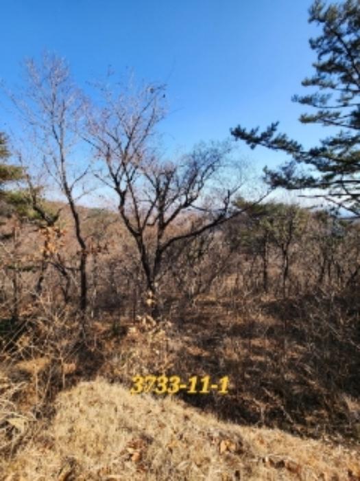 법원경매 2022타경3733 사진37 | 부산 기장군 일광읍 원리 656 주택건물 경매