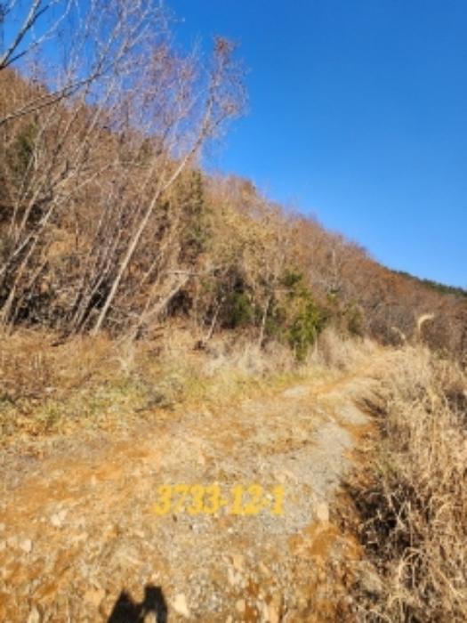 법원경매 2022타경3733 사진39 | 부산 기장군 일광읍 원리 656 주택건물 경매
