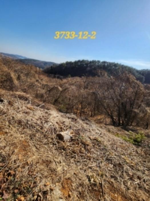 법원경매 2022타경3733 사진40 | 부산 기장군 일광읍 원리 656 주택건물 경매