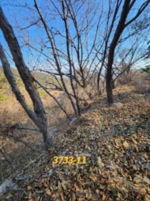 법원경매 2022타경3733 사진45 | 부산 기장군 일광읍 원리 656 주택건물 경매