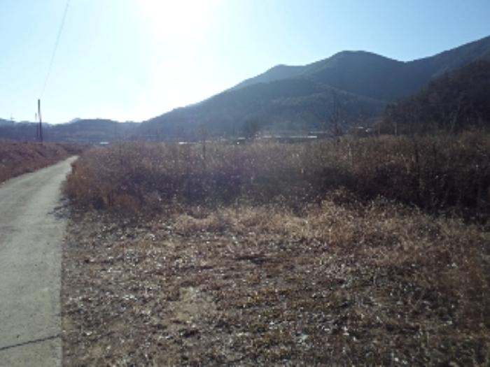 2024타경2987 법원경매 사진7 | 경남 창녕군 답 경매