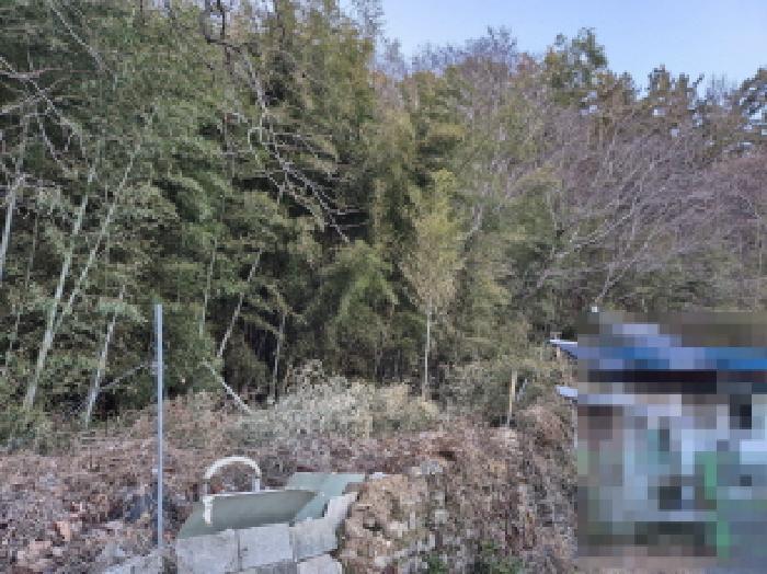 2025타경20187 법원경매 사진5 | 경남 고성군 전 경매