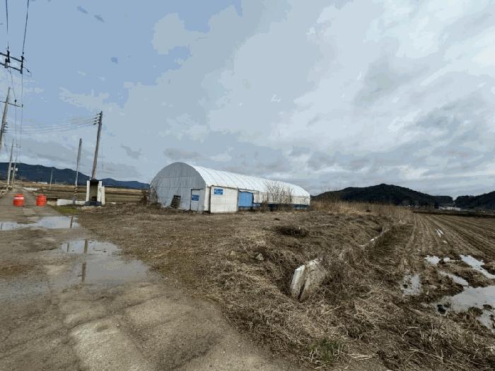 2025타경295 법원경매 사진6 | 전남 함평군 답 경매