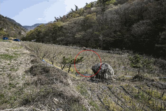 2025타경413 법원경매 사진2 | 전남 고흥군 전 경매