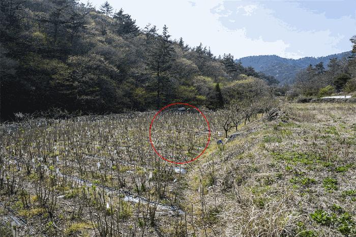 2025타경413 법원경매 사진3 | 전남 고흥군 전 경매