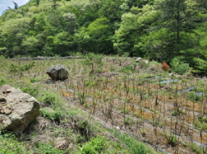 2025타경413 법원경매 사진9 | 전남 고흥군 전 경매