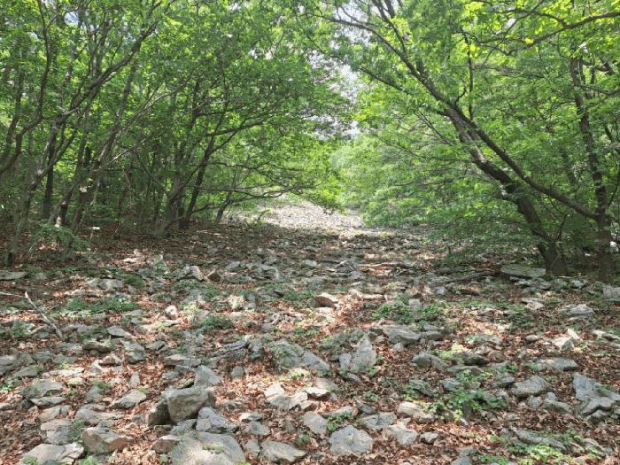 2025타경51487 법원경매 사진2 | 전남 여수시 임야 경매