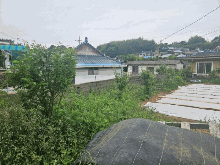 2025타경51499 법원경매 사진7 | 전남 순천시 주택건물 경매