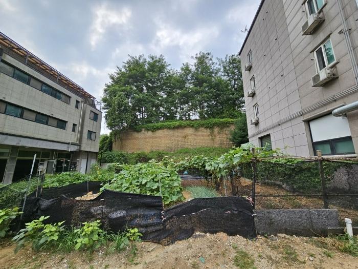 법원경매 2023타경40753 사진6 | 김포시 양촌읍 대포리 83-27 임야 경매