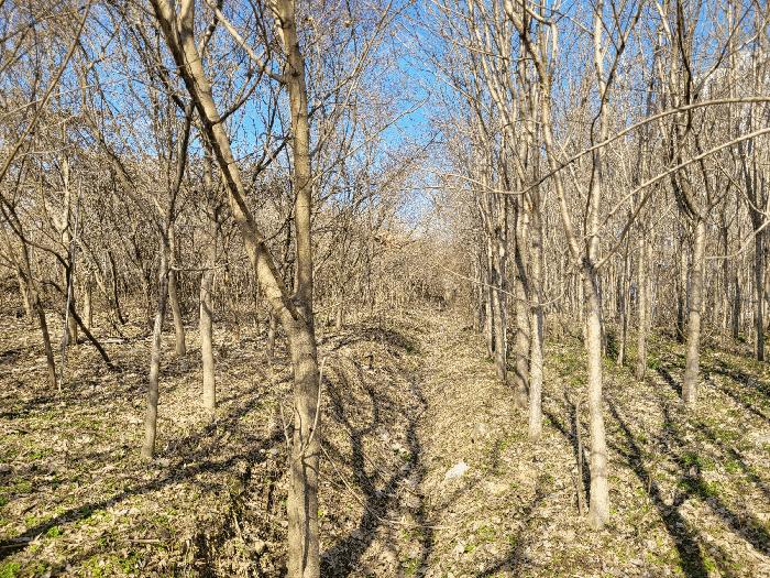 2025타경455 법원경매 사진3 | 광주 북구 답 경매