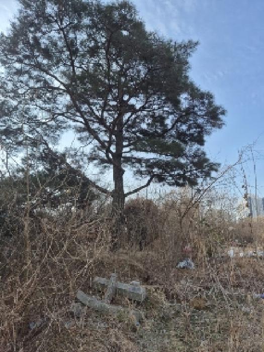 2025타경455 법원경매 사진8 | 광주 북구 답 경매