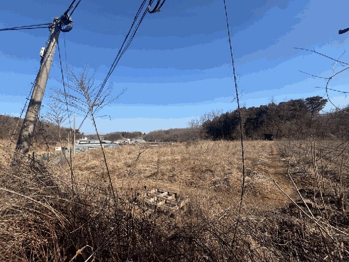 경기도 파주시 문산읍 율곡로123번길 10 법원경매 물건 대표사진