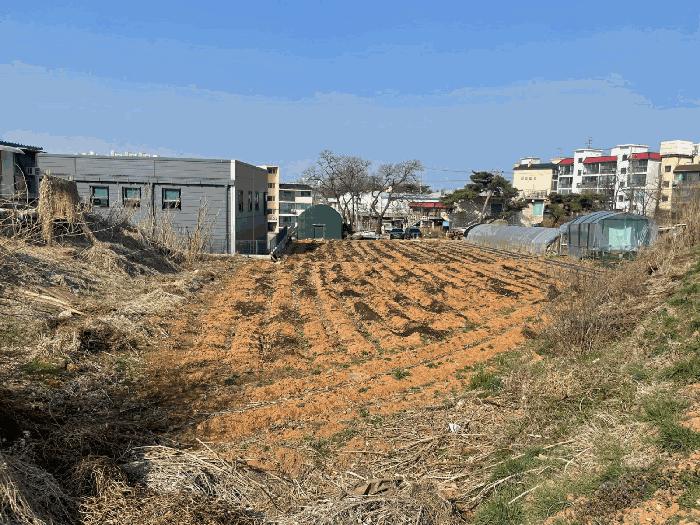 법원경매 2025타경62523 사진2 | 파주시 조리읍 능안리 1036-5 전 경매