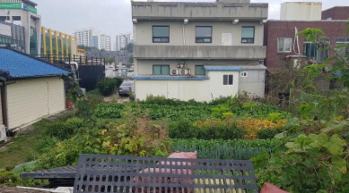 법원경매 2024타경53063 사진13 | 안성시 일죽면 송천리 256-11 대지 경매