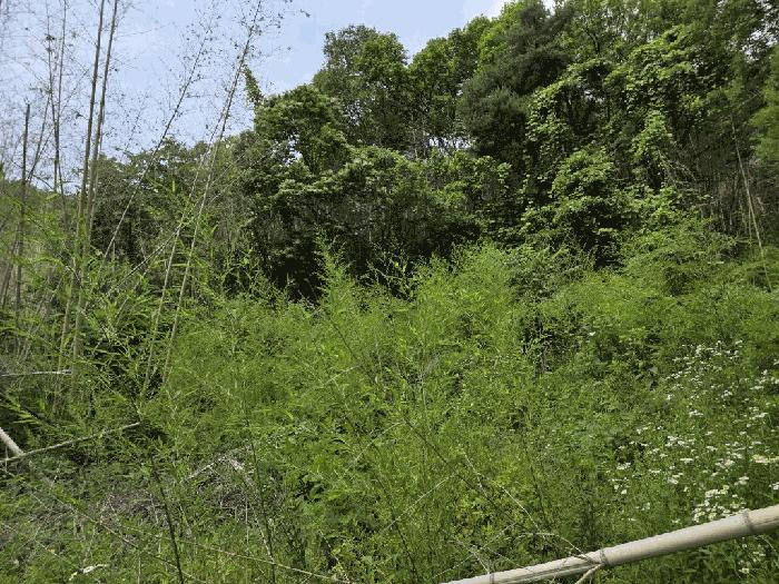 경상북도 칠곡군 기산면 각산리 420 법원경매 물건 대표사진