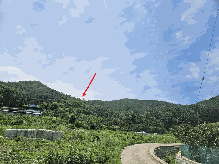 법원경매 2025타경8356 사진3 | 청도군 이서면 문수리 임야 경매