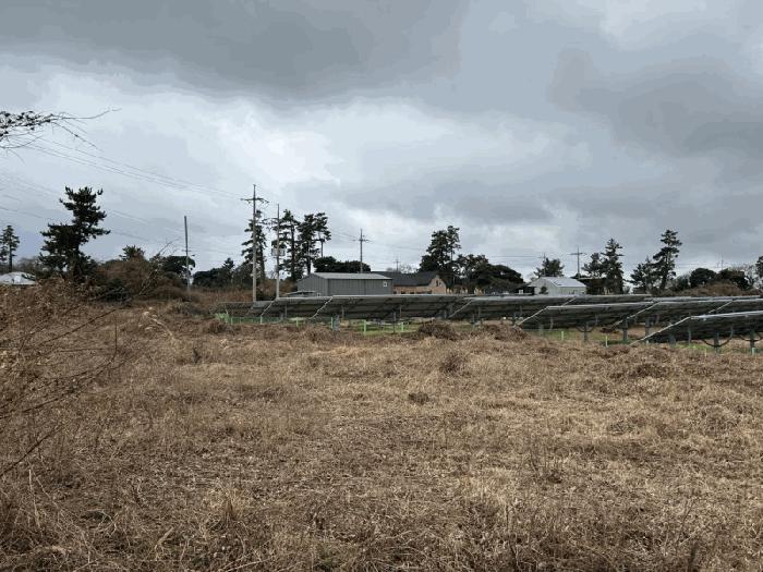 2025타경893 법원경매 사진4 | 제주 제주시 과수원 경매