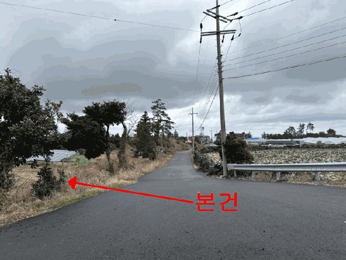 2025타경893 법원경매 사진5 | 제주 제주시 과수원 경매