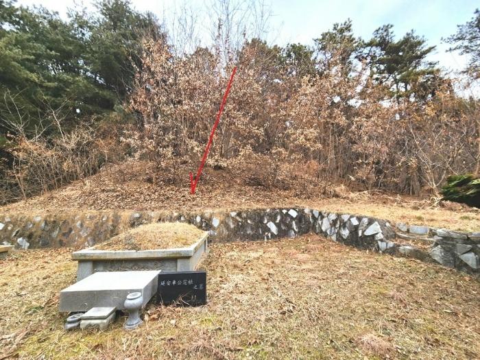 법원경매 2024타경56451 사진3 | 평택시 도일동 임야 경매
