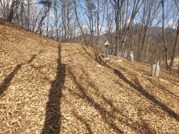 법원경매 2025타경271 사진2 | 김천시 봉산면 덕천리 임야 경매