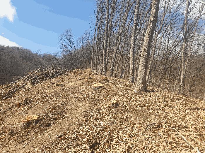 법원경매 2025타경271 사진4 | 김천시 봉산면 덕천리 임야 경매
