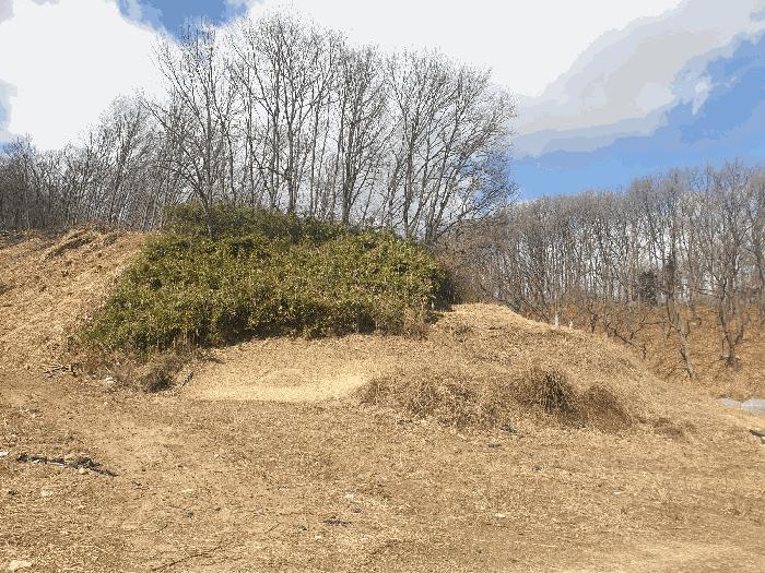 법원경매 2025타경271 사진5 | 김천시 봉산면 덕천리 임야 경매