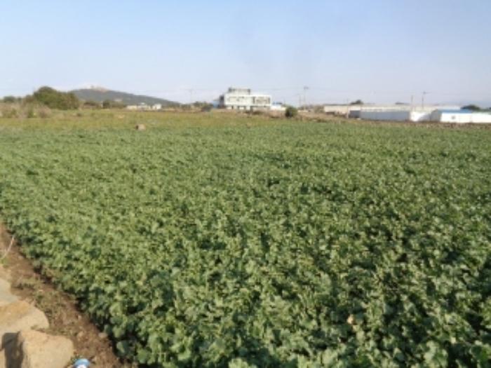 2024타경34868 법원경매 사진27 | 제주 서귀포시 전 경매