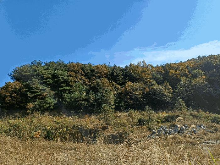 법원경매 2024타경1745 사진3 | 상주시 화서면 상용리 308-1 주택건물 경매