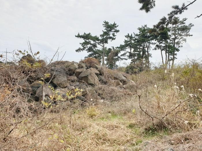 2024타경37171 법원경매 사진2 | 제주 제주시 전 경매