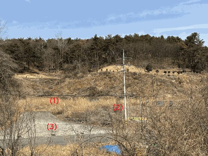 법원경매 2025타경11437 사진4 | 울산 울주군 두서면 전읍리 315-1 과수원 경매