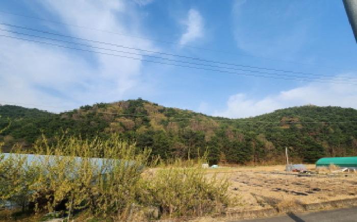법원경매 2025타경11519 사진2 | 울주군 상북면 궁근정리 울산 울주군 임야 경매