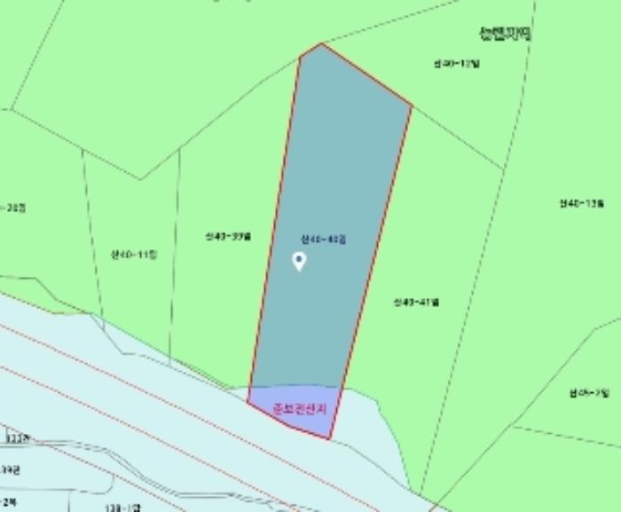 법원경매 2024타경11382 사진37 | 세종 장군면 임야 경매