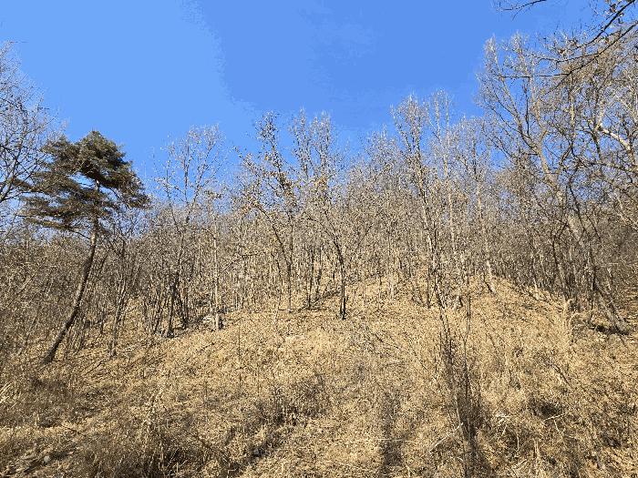 법원경매 2024타경11382 사진5 | 세종 장군면 봉안리 임야 경매