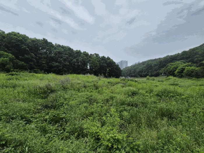 경기도 파주시 문산읍 선유리 857 법원경매 물건 대표사진