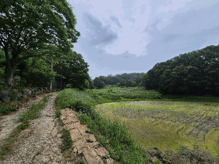 법원경매 2025타경63211 사진2 | 파주시 문산읍 전 경매