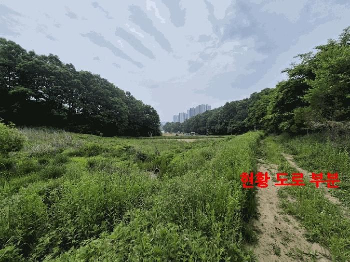 법원경매 2025타경63211 사진3 | 파주시 문산읍 전 경매