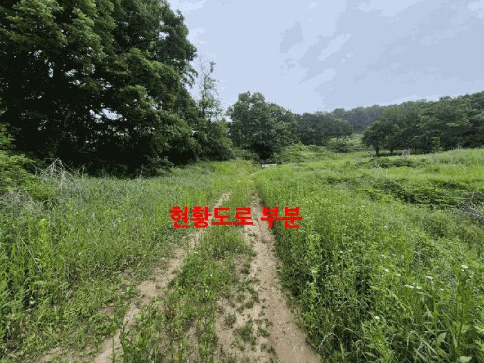 법원경매 2025타경63211 사진4 | 파주시 문산읍 전 경매