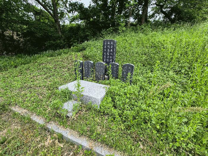 법원경매 2025타경63211 사진5 | 파주시 문산읍 전 경매