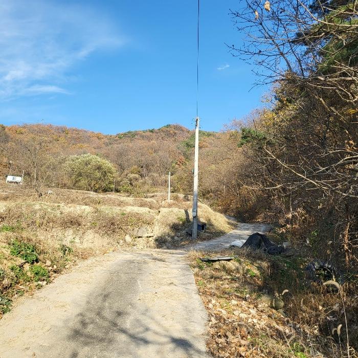 법원경매 2024타경17860 사진7 | 김천시 어모면 다남리 임야 경매
