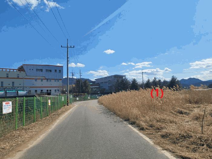 경북 성주군 성주읍 예산리 271-1 과수원 사진 6